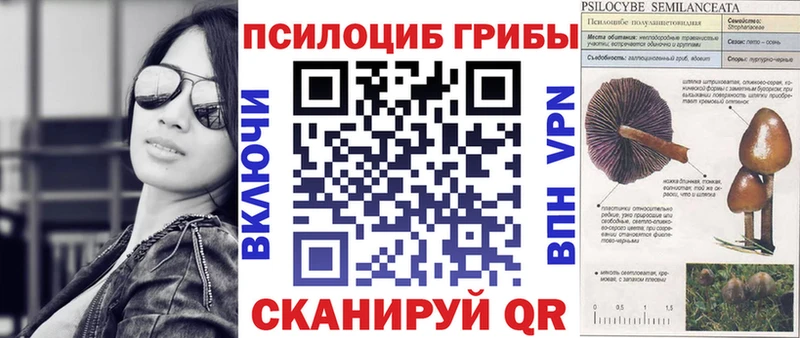 Галлюциногенные грибы Cubensis  Купить закладки  Грайворон 